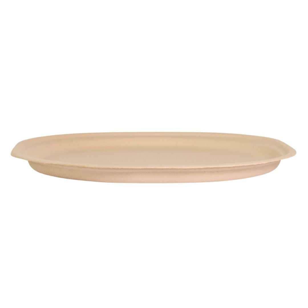 25 cm / 10" Plate