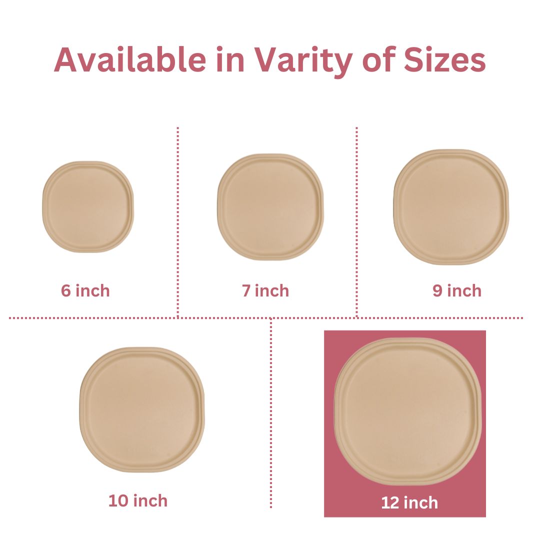 31 cm / 12" Plates