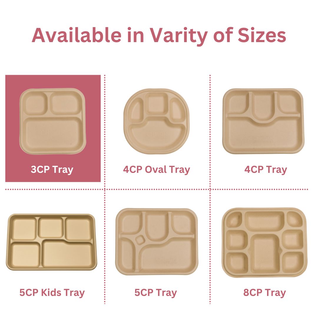 3 Compartment Meal Trays