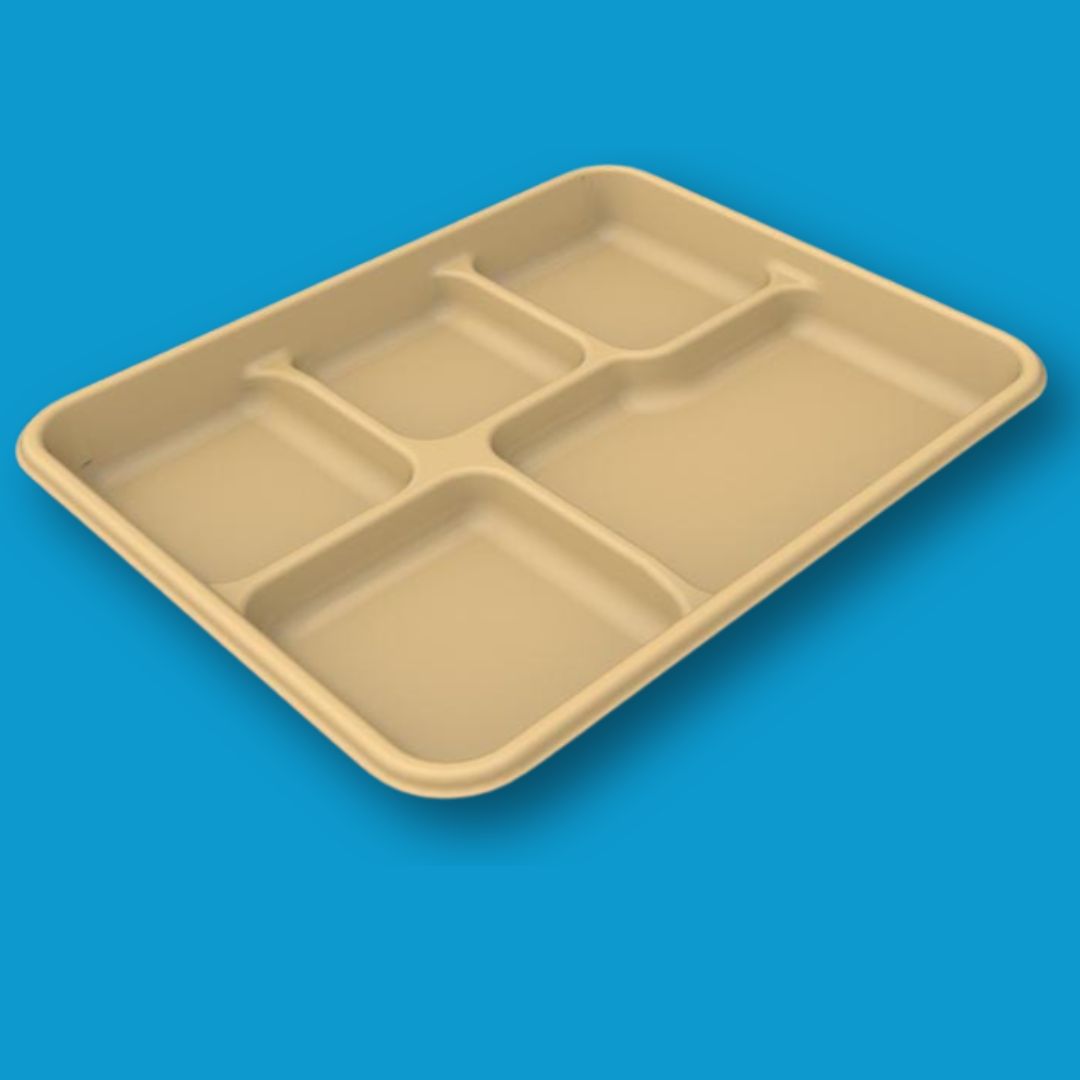 5 Compartment Kids Meal Trays