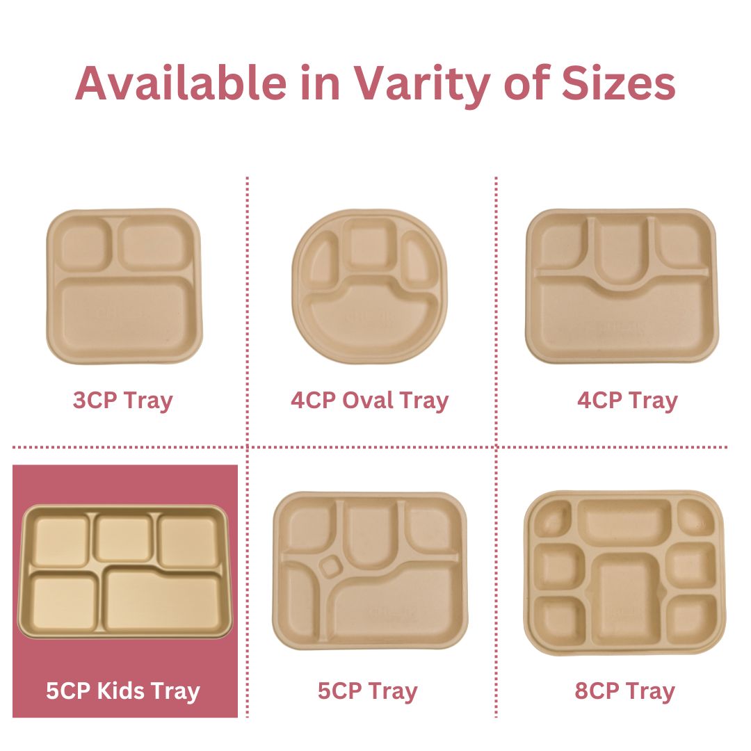 5 Compartment Kids Meal Trays