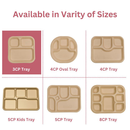 3 Compartment Meal Trays