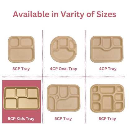 5 Compartment Kids Meal Trays