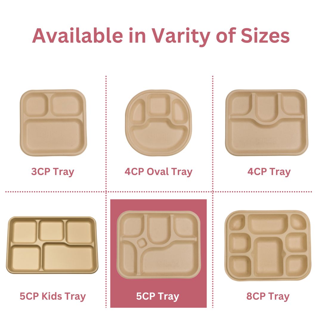 5 Compartment Meal Trays