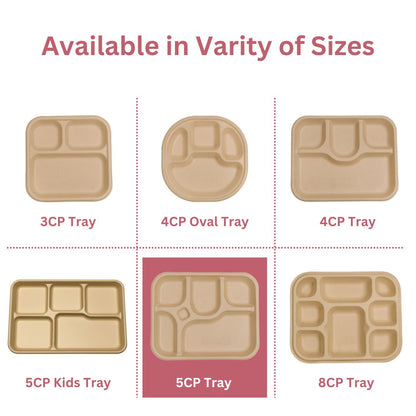 5 Compartment Meal Trays